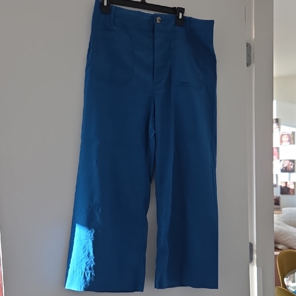 Anthropologie Vibrant Blue Chinos